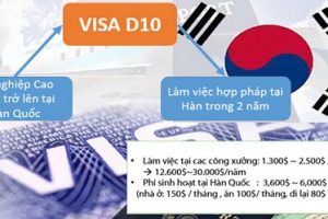 ĐIỀU CẦN BIẾT VỀ Visa D10